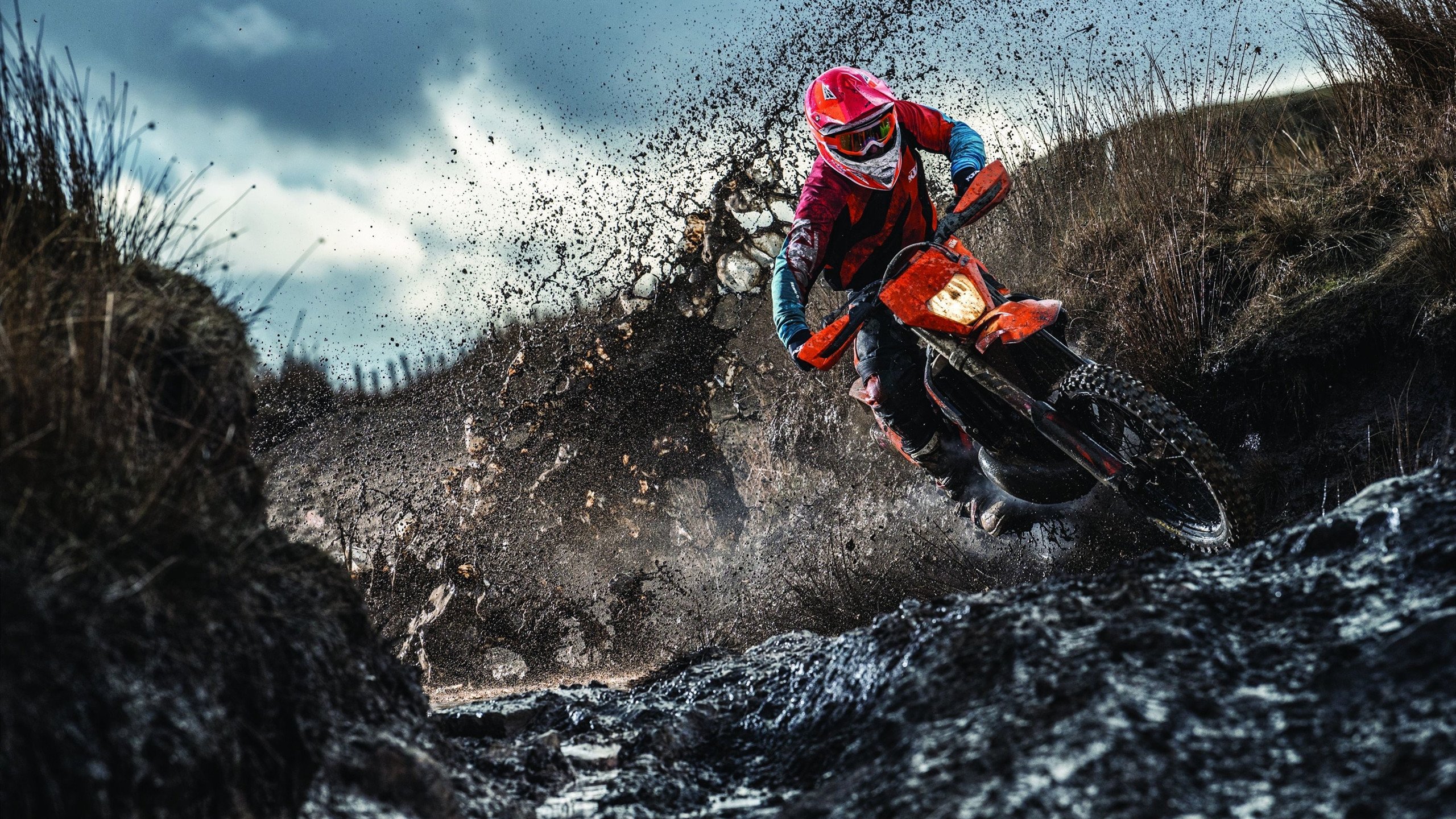 电竞赛场焦点！法国队对阵美国队，爆冷逆转，黑马强势击败劲敌